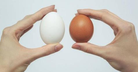 Между коричневыми и белыми куриными яйцами есть разница?