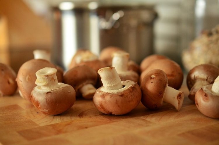 7 ошеломляющих фактов, о которых должен знать каждый любитель грибов
