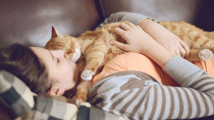 Причины, по которым кошка предпочитает спать на теле хозяина