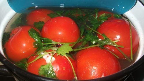 Квашенные помидорчики в кастрюле – таких вы еще не пробовали
