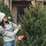Где и как купить живую елку: советы и рекомендации